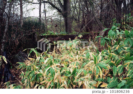 鴻紋軌道　六仙橋　橋台 101806236