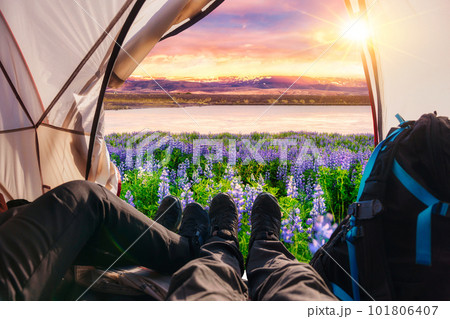 Legs of couple relaxing inside a tent with lupine flower blooming by the lake in the sunset 101806407