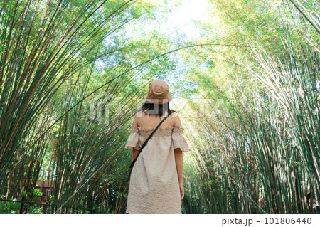 Young asian woman standing and looking in Bamboo forest tunnel on countryside 101806440