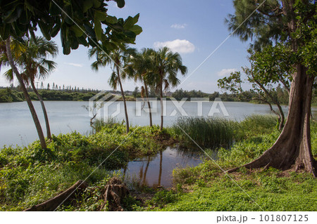 南大東島の瓢箪池 南大東島の瓢箪池 101807125