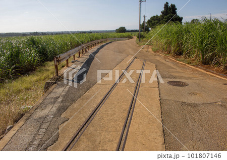 南大東島のシュガートレイン廃線跡 南大東島のシュガートレイン廃線跡 101807146