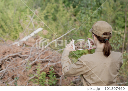 Woman park ranger in uniform take a photo of deadwood using a digital tablet in a national park in summer, back view, selective focus. 101807460