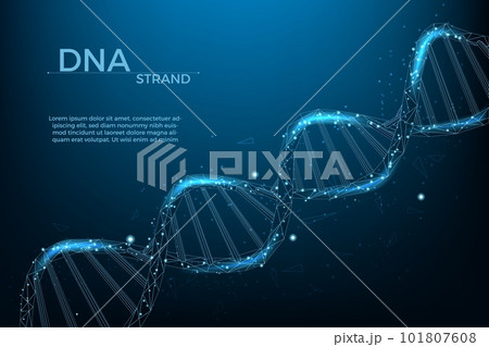 3d dna wireframe, health medicine banner template. Polygon helix hologram, innovation biology or genetic cells, futuristic chromosome molecule isolated. Vector gene background 3d dna wireframe, health medicine banner template. Polygon helix hologram, innovation biology or genetic cells, futuristic chromosome molecule isolated. Vector gene background 101807608
