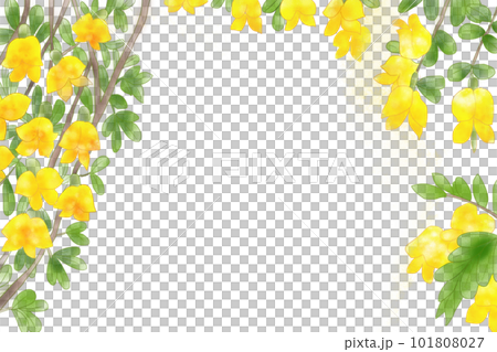 群雀（ムレスズメ）の花カード3 101808027