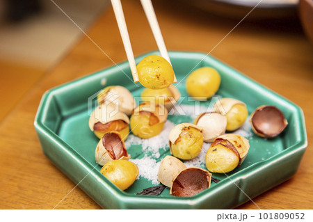 銀杏の実 銀杏の実 101809052