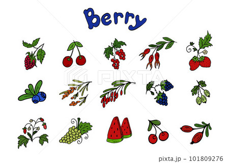 Set berries. Vector illustration. Icon in doodle style. Handwritten blue lettering berry. Set berries. Vector illustration. Icon in doodle style. Handwritten blue lettering berry. 101809276