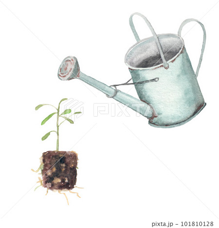 Leica. Watering can for garden. Clipart. Hand drawn watercolor illustration Leica. Watering can for garden. Clipart. Hand drawn watercolor illustration 101810128