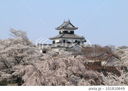 白河駅のホームから見える満開の桜と白河小峰城 白河駅のホームから見える満開の桜と白河小峰城 101810649