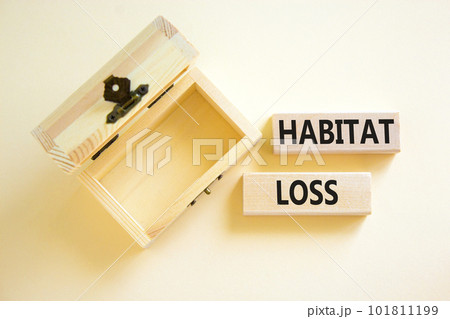 Habitat loss symbol. Concept words Habitat loss on wooden block. Beautiful white table white background. Empthy opened wooden chest. Business habitat loss concept. Copy space. 101811199