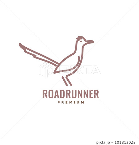 fast fun bird land roadrunner line modern minimal logo design vector fast fun bird land roadrunner line modern minimal logo design vector 101813028