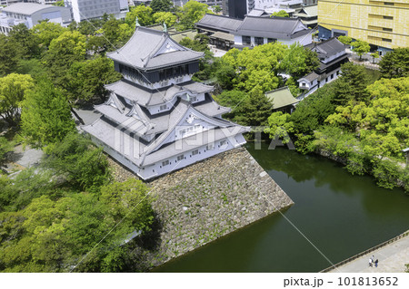 新緑の美しい小倉城 新緑の美しい小倉城 101813652