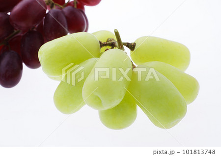 ぶどう　シードレス 101813748