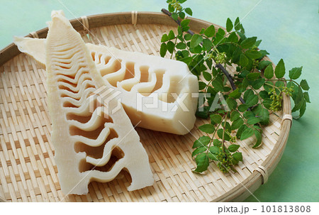 　たけのこ　水煮 101813808