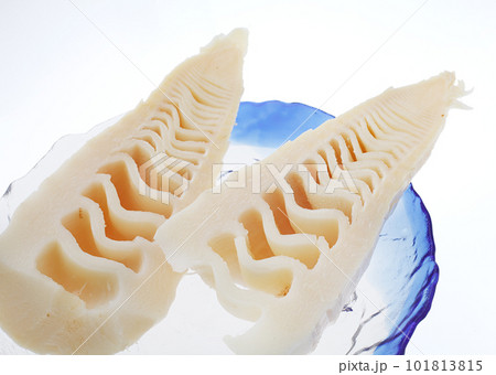 たけのこ 水煮 たけのこ 水煮 101813815