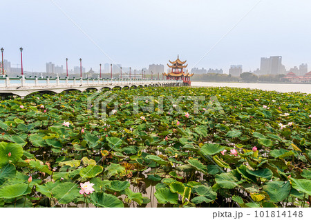 台湾　高雄　龍虎塔　2023 101814148
