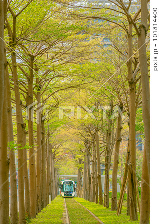 台湾　高雄　ライトレール　2023 101814400