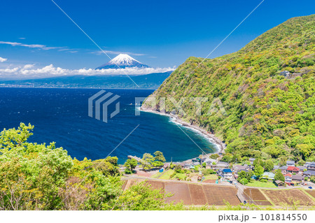 （静岡県）新緑が美しい煌めきの丘から望む井田の景色 101814550