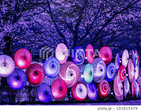 栃木県壬生町  東雲公園のライトアップ風景 101815479