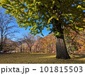 秋の公園 101815503