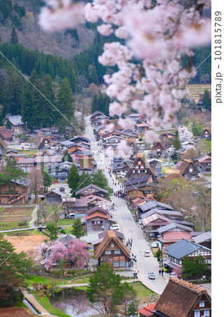 春の白川郷 101815789