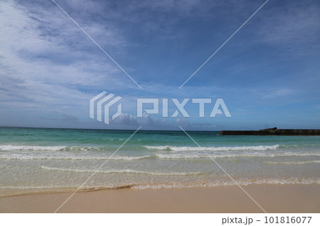 渡口の浜 101816077