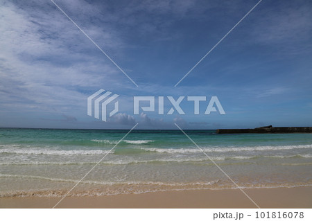 渡口の浜 101816078