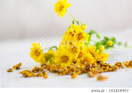 Chinese chrysanthemum flower tea - Dried chrysanthemum buds for herbal tea on wooden background, dry chrysanthemum flower yellow 101816407