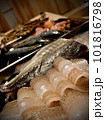 新鮮な魚 101816798