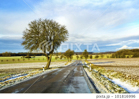 Empty black asphalt road between green fields and a lonely tree Empty black asphalt road between green fields and a lonely tree 101816996