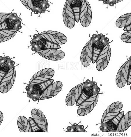 Hand-Drawn Steampunk Cicada Seamless Pattern on White Background. Digital Paper with Cicada Illustration Drawn by Colored Pencil. Hand-Drawn Steampunk Cicada Seamless Pattern on White Background. Digital Paper with Cicada Illustration Drawn by Colored Pencil. 101817433