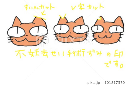 目が大きい猫の不妊治療 101817570