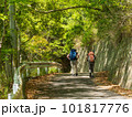 新緑の中でハイキングを楽しむ男女 101817776
