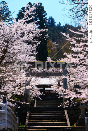 飛騨高山の春の照蓮寺 飛騨高山の春の照蓮寺 101817820
