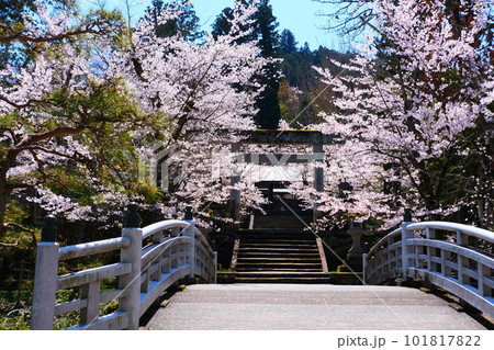 飛騨高山の春の照蓮寺 101817822