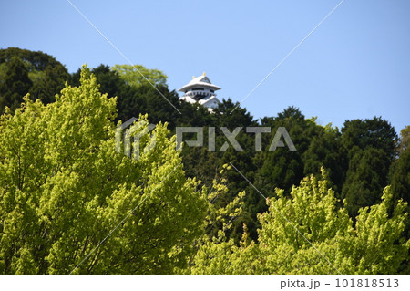 幻の天空水口岡山城 101818513