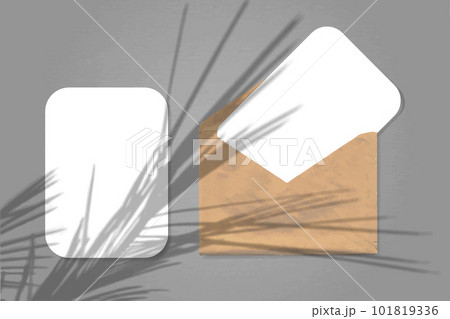 An envelope with two sheets of white paper on grey background. Mock up with an overlay of plant shadows. Natural light casts shadows from the palm branch 101819336