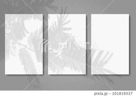 3 vertical sheets of textured white paper on grey table background. Mock up with an overlay of plant shadows. Natural light casts shadows from the tui branch 101819337