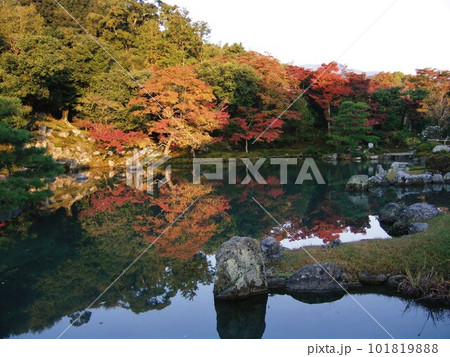 紅葉が美しい天龍寺庭園 101819888