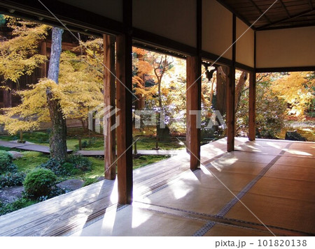 蓮華寺の紅葉の風景 蓮華寺の紅葉の風景 101820138