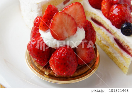 イチゴケーキ　ショートケーキ 101821463