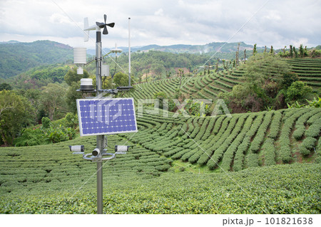 Weather station in green tea field, 5G technology with smart farming concept 101821638