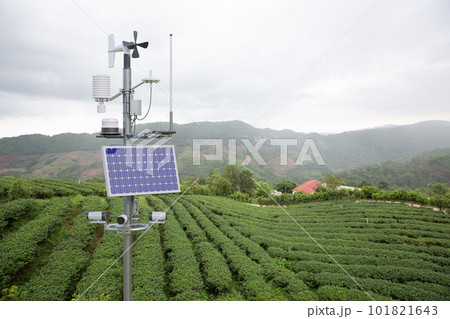 Weather station in green tea field, 5G technology with smart farming concept 101821643