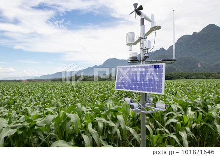 Weather station in corn field, 5G technology with smart farming concept 101821646