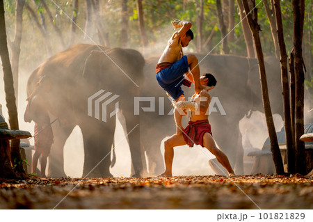 Two Asian men fight by traditional martial arts with one man stand on thigh of other man Two Asian men fight by traditional martial arts with one man stand on thigh of other man 101821829