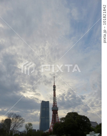 夕暮れ時の空と東京タワー 夕暮れ時の空と東京タワー 101821842