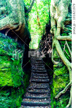 伊豆大島 の 泉津 の 切通し 【 東京都 大島町 の 観光名所 】 101821979