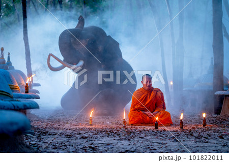 One monk sit and stay in meditate position in front of elephant lie down on background at night 101822011