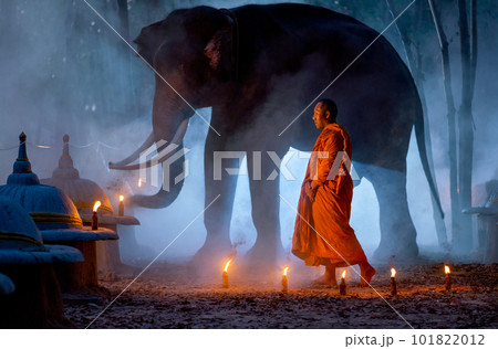 One monk action of walking meditation in front of big elephant stand on the background at night. 101822012