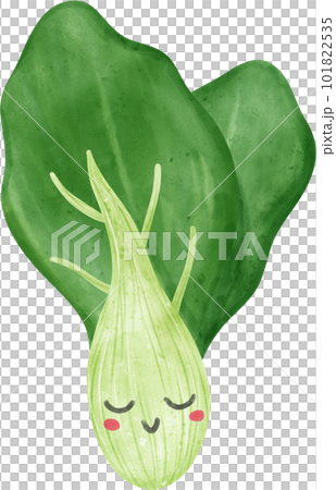 cute kawaii Watercolor fresh chinese bok choy vegetable vibrant color hand drawing cute kawaii Watercolor fresh chinese bok choy vegetable vibrant color hand drawing 101822535