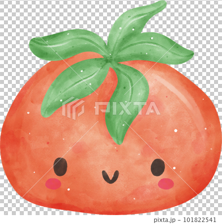 cute kawaii Watercolor fresh red tomato vegetable vibrant color hand drawing 101822541